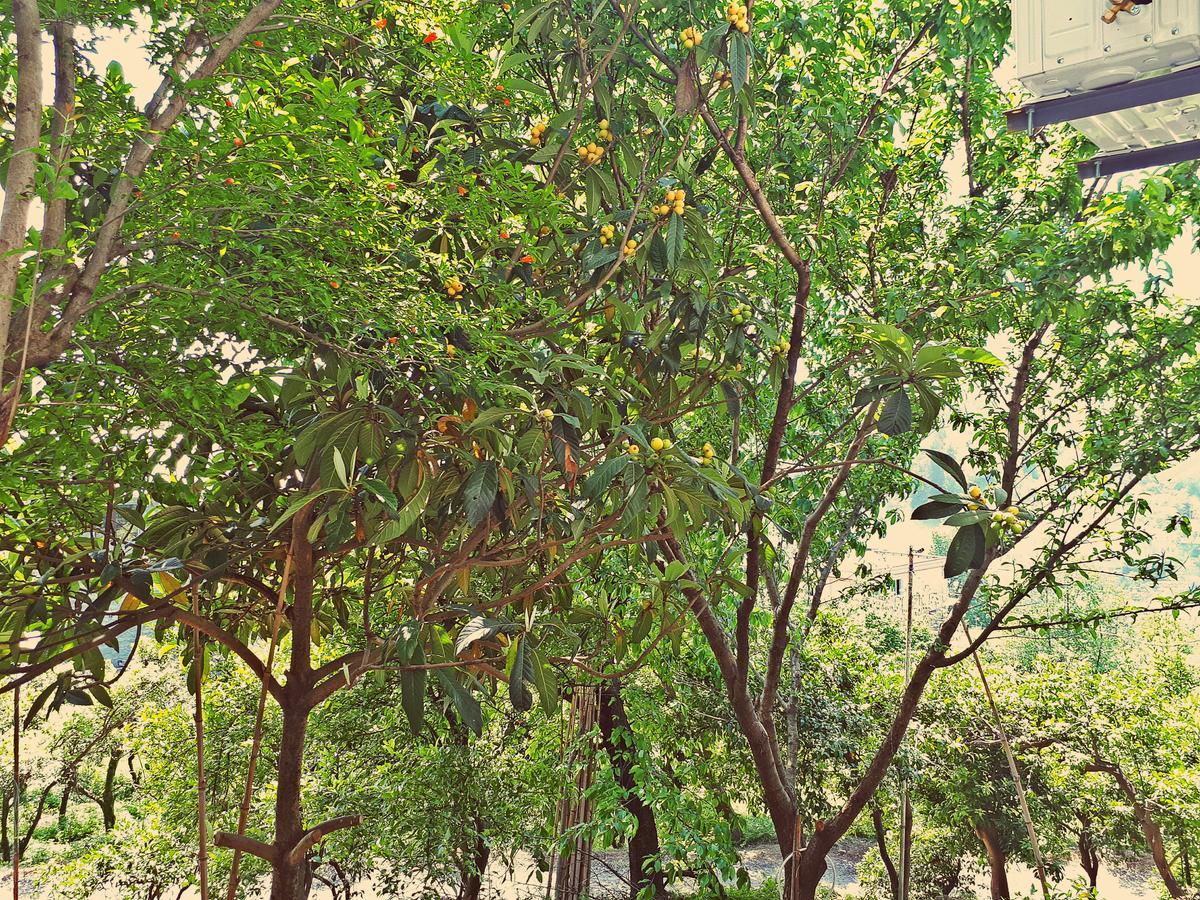 Apartments Sunset Paradise Makhinjauri Exterior foto